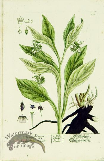 Blackwell German 128